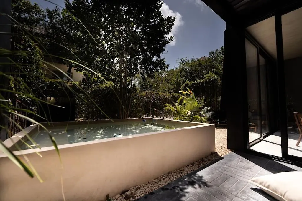 Luxury Twin Villas, 4 Private Pools, 2 Rooftops, Bbq, Near Beach Tulum 0*,  Mexico
