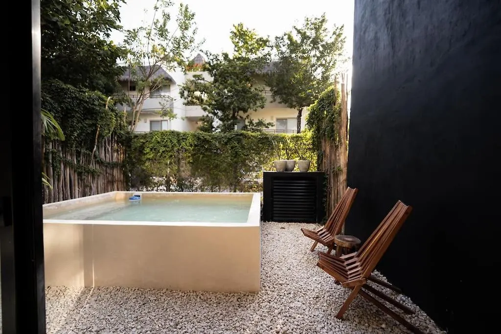 Luxury Twin Villas, 4 Private Pools, 2 Rooftops, Bbq, Near Beach Tulum Villa