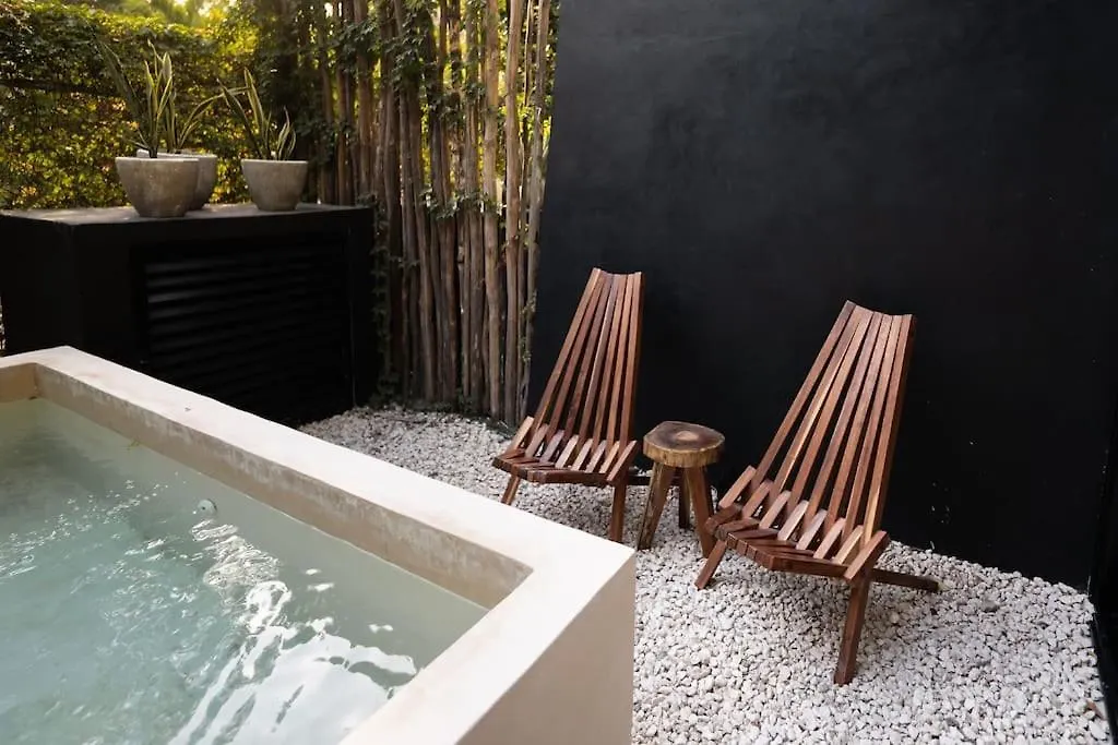 Luxury Twin Villas, 4 Private Pools, 2 Rooftops, Bbq, Near Beach Tulum